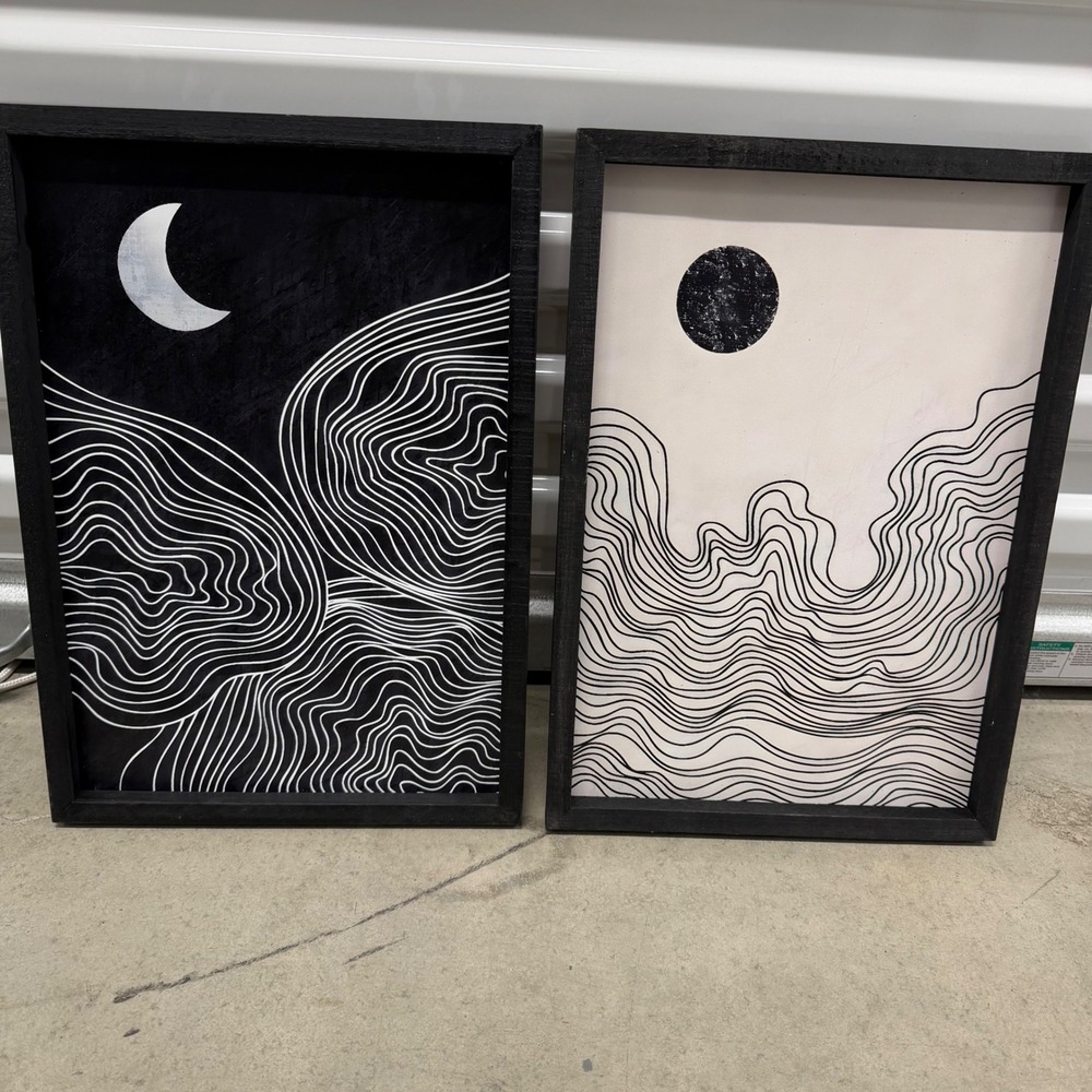 Set of 2 Abstract Celestial Topographical Moon Framed Wall Art Black White Boho